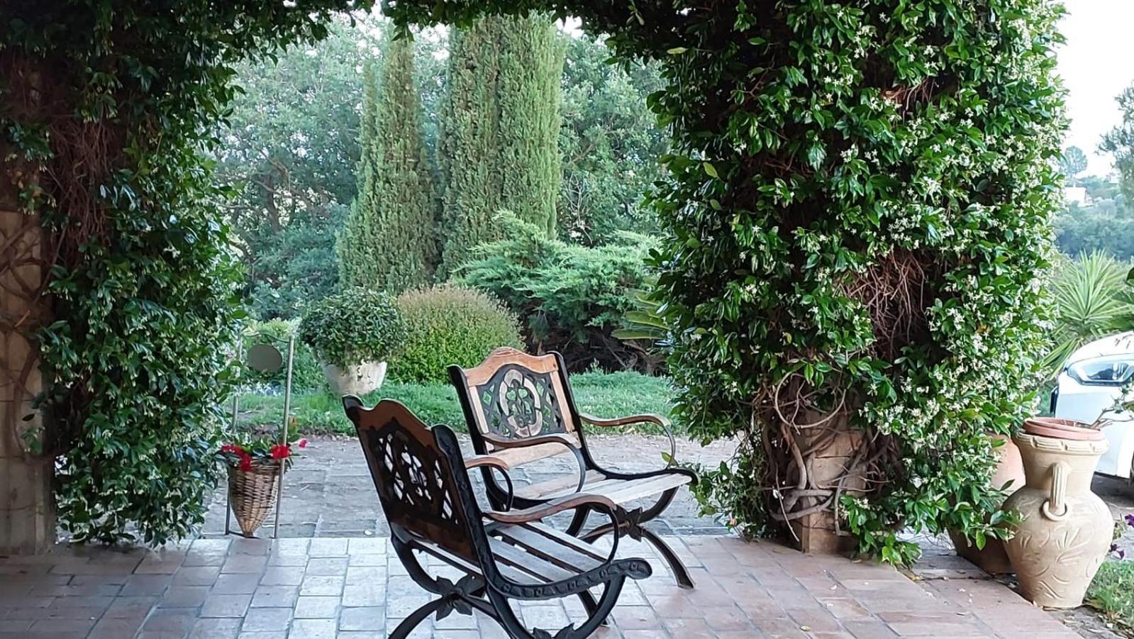 Il Casale Del Sogno Bed & Breakfast Ардеа Екстериор снимка