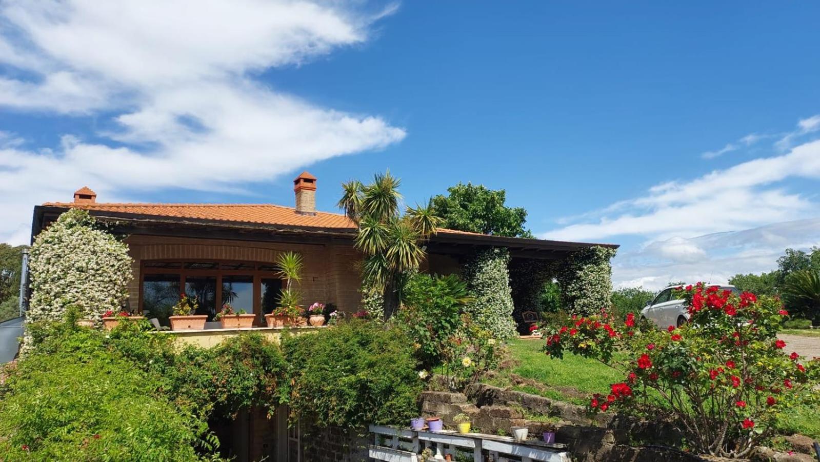 Il Casale Del Sogno Bed & Breakfast Ардеа Екстериор снимка